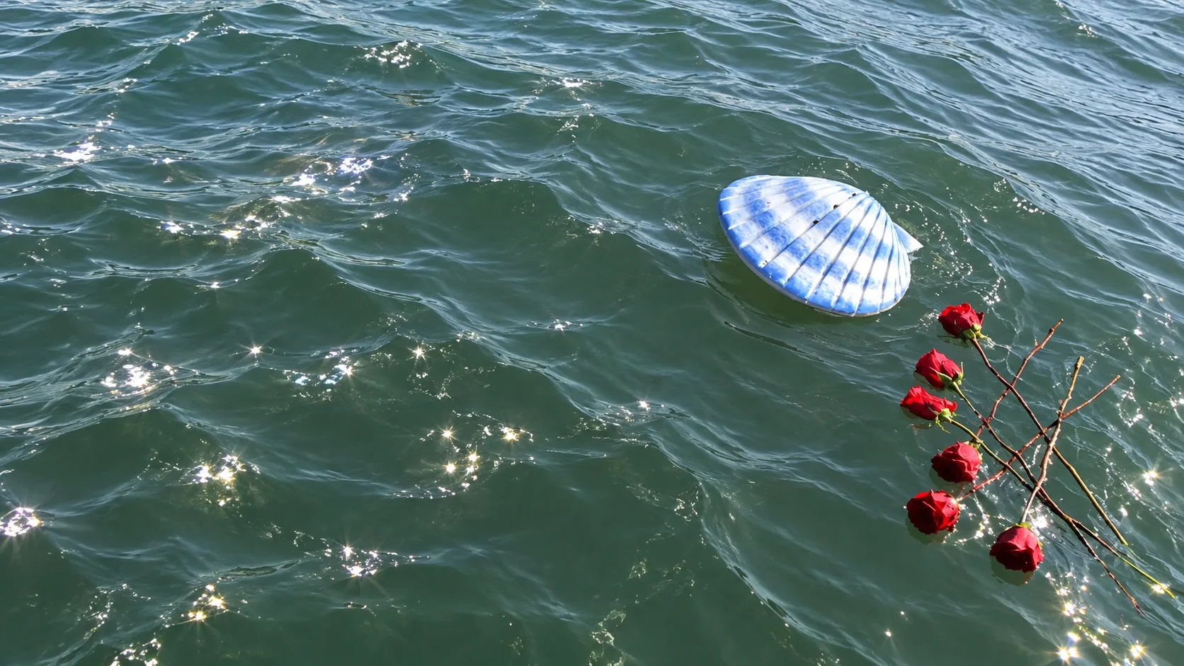 Biodegradable shell and roses floating on the ocean after a memorial ceremony